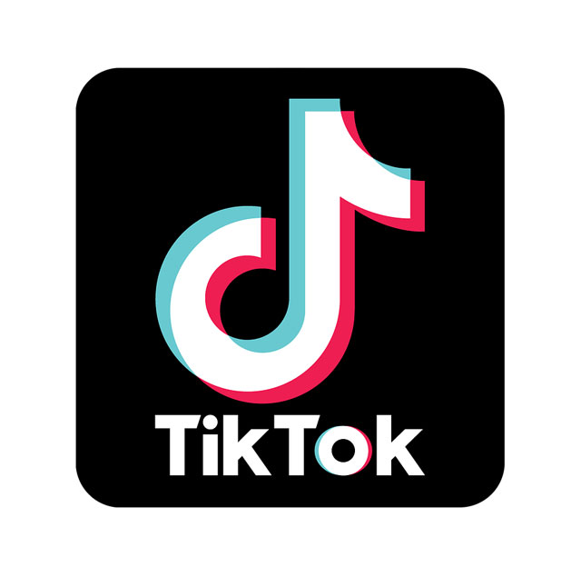 Seguidores de Tiktok